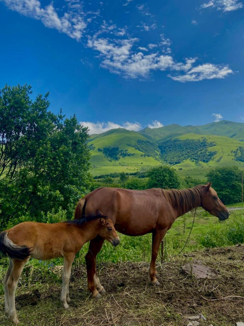 Tezh Ler Resort Sahumjan Kültér fotó