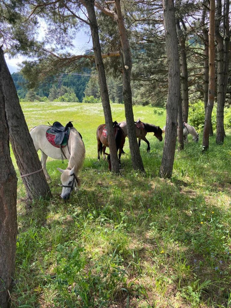 Tezh Ler Resort Sahumjan Kültér fotó